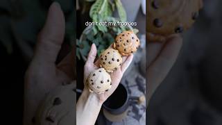 Thumbnail for No Cookies for You | SorrelsSouls