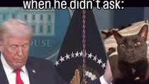 Thumbnail for Trump exposes the worst terrorists of them all