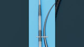 Thumbnail for How Porcupine Needles Work 😮 | Zack D. Films