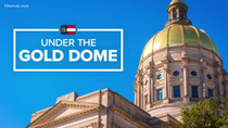 Thumbnail for The jews are crying out in pain as they want to take away U.S. citizen's 1A. Georgia is under attack by a new bill called HB30 which would make the state exactly like Florida's HB269. They want to pass that bill in response to GDL protest months ago in front on the jewish temple.