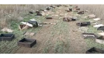 Thumbnail for Destroyed Beehives