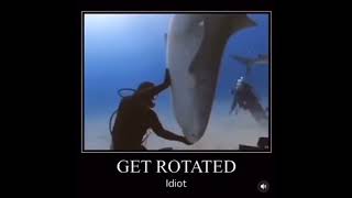 Thumbnail for Man VS Shark (get rotated idiot meme) #shorts | Esha Bhandary 