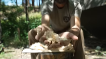 Thumbnail for YouTube - Clay Hayes - You NEED This for SURVIVAL - Don't let it go to WASTE! [fat, tallow] (2025) (FmT8sac_o2o)