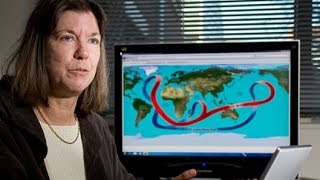 Thumbnail for Professor Judith Curry Quits over Climate "Craziness" | 1000frolly PhD