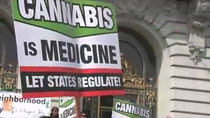 Thumbnail for What We Saw at the San Francisco Marijuana Rally
