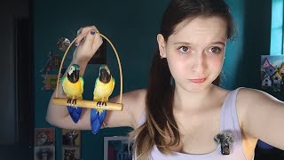 Thumbnail for An interesting shopping haul... | vonthedon