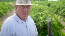 Thumbnail for Feds vs. Raisins: Small Farmers Stand Up to the USDA