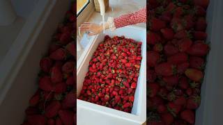 Thumbnail for Strawberry jam 🍓#abirzkitchen #strawberry | Abirz Kitchen
