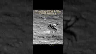 Thumbnail for They Found This In The Ocean Depths 😨 #interesting | IdkSterling