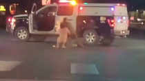 Thumbnail for Cop Gets Carjacked By Naked Guy