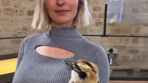 Thumbnail for I'd be singing the same song with her on my arm, lil fella!