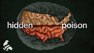 Thumbnail for How half the US lost part of their minds | Howtown