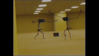 Thumbnail for Entities dancing in Backrooms? (Found Footage) | Madkeanu