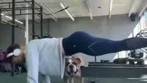 Thumbnail for Gym doggo