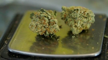 Thumbnail for Over $455,000 Seized from Medical Marijuana Patient Slapped with Civil Asset Forfeiture