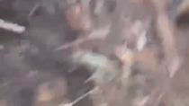Thumbnail for The most respectful POW capture I've seen
