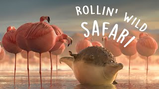 Thumbnail for ROLLIN` SAFARI - what if animals were round? | ROLLIN' WILD