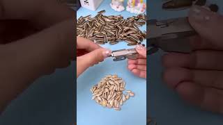 Thumbnail for All-in-one Nut Cracker Tool | MaviGadget