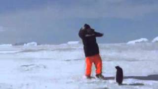 Thumbnail for penguin scares man | DrussTheAxeGod