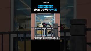 Thumbnail for 폭도들이 깨부순 유리창 수습하는 서부지법 #Shorts | 오마이TV