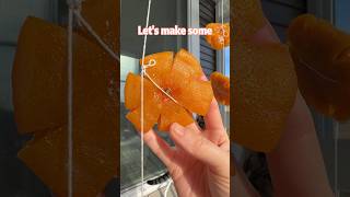 Thumbnail for Traditional Chinese Orange Cakes 🍊 | Ms Shi and Mr He