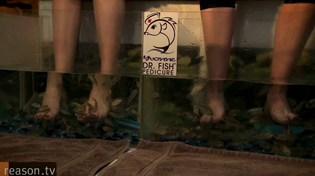 Thumbnail for New Hampshire Nannies: Why is the "Live Free or Die" State Banning Fish Pedicures?