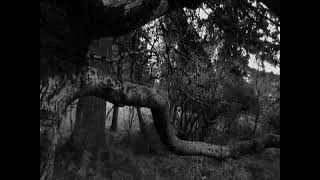 Thumbnail for I SHALT BECOME "The Funeral Rain" Video | Moribund Records