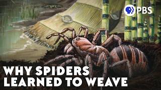 Thumbnail for The Arms Race That Made Insects Take Flight | PBS Eons
