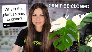 Thumbnail for Tissue Culture Q&A 🌱 | Plants in Jars