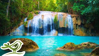 Thumbnail for Beautiful Piano Radio 🎹 Relaxing Music for Sleep, Studying & Relaxation 24/7 | Soothing Relaxation