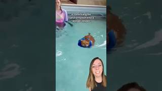 Thumbnail for Thicken Nugget the rotund, swimming cat: UPDATE! #shorts #catshorts | That Good News Girl