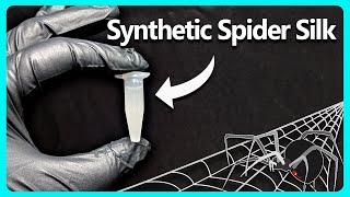 Thumbnail for I Grew Real Spider Silk Using Yeast | The Thought Emporium