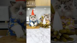 Thumbnail for Puff is whipping up some festive Christmas bites! Get ready for a tasty holiday treat! #HolidayBites | That Little Puff