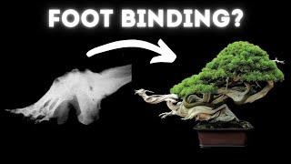 Thumbnail for Is Bonsai Torture? - Biology of Pain