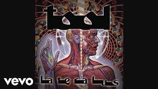 Thumbnail for TOOL - Reflection (Audio) | TOOLVEVO