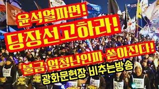 Thumbnail for 윤수괴파면 당장선고하라!불금 엄청난인파 쏟아진다!광화문현장 비추는방송 | 황기자