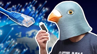 Thumbnail for Is a carrier pigeon still faster than the Internet? | Jeff Geerling