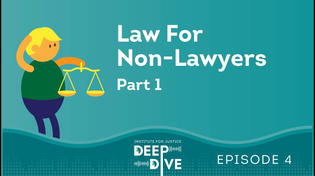 Thumbnail for Law for Non-Lawyers – Standards of Review