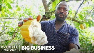 Thumbnail for Ghana Grows Our Cocoa, So Why Can’t It Make Chocolate? | Big Business