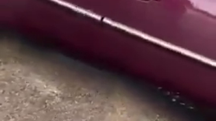 Thumbnail for ICE shooting from agent POV camera