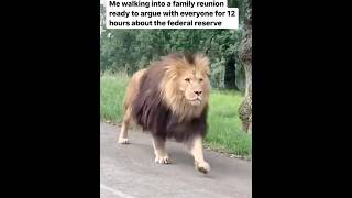 Thumbnail for Me walking into a family reunion ready to argue with everyone for 12 hours about the federal reserve | FunnyMemeSpot Backup