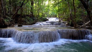 Thumbnail for Waterfall Gentle Stream Sound in forest 24/7. Waterfall Sounds, Flowing Water, White Noise for Sleep | Top Relax Channel