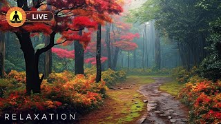 Thumbnail for This live stream has ended. We will release a new version of this live stream soon. See link below | Yellow Brick Cinema - Relaxing Music