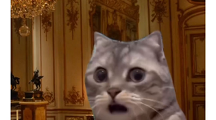 Thumbnail for Free Slaves