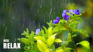 Thumbnail for Relaxing Piano & Rain | Radio | Ocb Relax