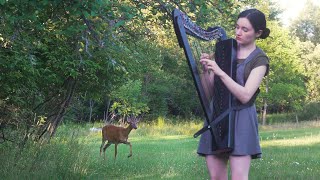 Thumbnail for A deer turned my harp session into a Disney movie | Naomi SV
