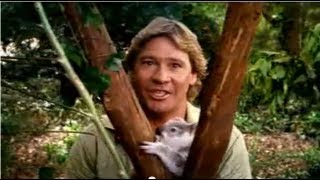 Thumbnail for Steve Irwin Customs 'Quarantine' TV ad (2002 Australia) | CheesyTV
