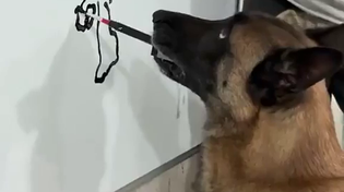 Thumbnail for Hitler's dog