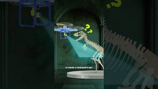 Thumbnail for How To Guess A Dinosaur's Age | Cleo Abram