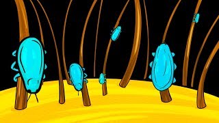 Thumbnail for Why Lice Are So Hard to Get Rid Of | BRIGHT SIDE